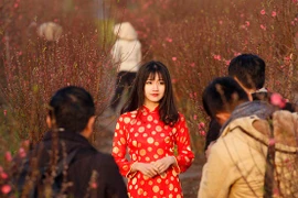 Việt Nam lọt vào bộ ảnh ấn tượng của hãng tin quốc tế