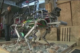 Ý phát triển robot 4 chân cho vùng thảm họa