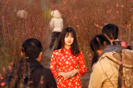 Việt Nam lọt vào bộ ảnh ấn tượng của hãng tin quốc tế