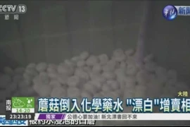 Phát hiện nấm Trung Quốc ngâm hóa chất độc hại