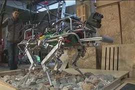 Ý phát triển robot 4 chân cho vùng thảm họa