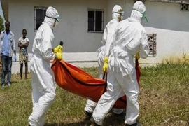 Thần chết Ebola đã cướp đi gần 7.000 sinh mạng trên toàn cầu
