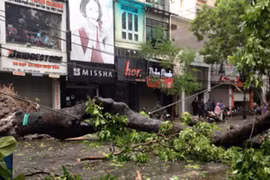 7 người chết và mất tích do bão Mirinae