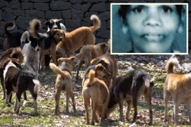 Con trai bất lực nhìn mẹ bị 100 con chó hoang cắn xé đến chết