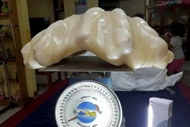 Cất khối ngọc trai trị giá 100 triệu USD trong nhà 10 năm mà không biết