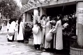 Mắt ở phố