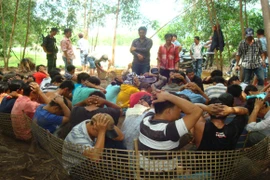 Xem cảnh sát đột kích tổ hợp cờ bạc trong rừng tràm, bắt 57 con bạc