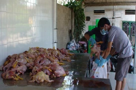 Sắp tết, thực phẩm bẩn liên tục tuồn về thành phố