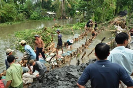 Bờ bao được vá, người dân trở lại cuộc sống bình thường
