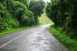 Bắt băng cướp “nhí” lộng hành trên quốc lộ 20