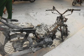 Xe máy cháy trơ khung trên cầu Bình Triệu 2