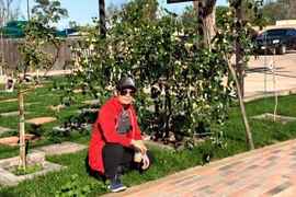 Táo ta của Bằng Kiều trĩu quả trên đất Mỹ