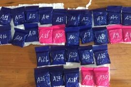 Sa lưới cùng 6000 viên ma túy