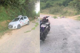 Bắt giữ nghi phạm sát hại tài xế taxi 