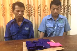 Vận chuyển 6.000 viên ma túy, hai người đàn ông sa lưới