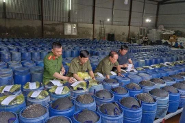 Triệt phá đường dây sản xuất 3.500 tấn giá đỗ ngâm "nước kẹo" ở Nghệ An