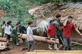 Người đàn ông bị cột gỗ đè tử vong khi dựng nhà 