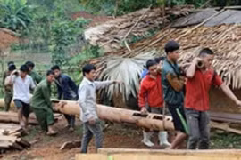 Người đàn ông bị cột gỗ đè tử vong khi dựng nhà 