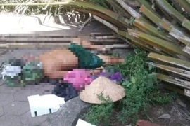 Nghỉ trưa trong công viên, người đàn ông bị cây đổ đè tử vong