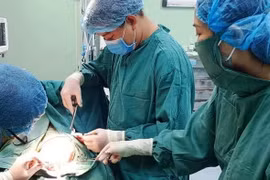 Bé trai 5 tuổi bị chó nhà nuôi cắn rách da đầu