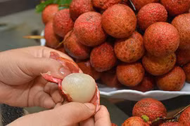 Bé 3 tuổi ở Nghệ An tử vong vì hóc hạt vải