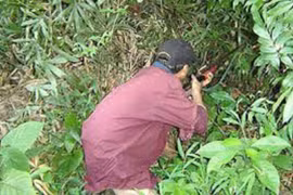 Đi săn cùng đồng nghiệp, thầy giáo trúng đạn tử vong