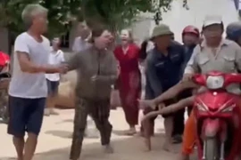 Đi cắt cỏ, người đàn ông bị ong vây đốt tử vong