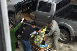 Người đàn ông tử vong trên ghế lái của xe bán tải