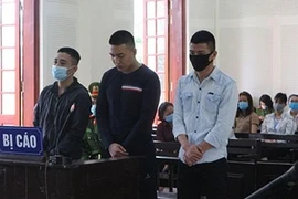 Rủ nhau buôn ma túy, bộ ba lĩnh án chung thân