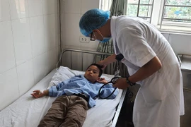 16 học sinh tiểu học nhập viện vì bị ong đốt