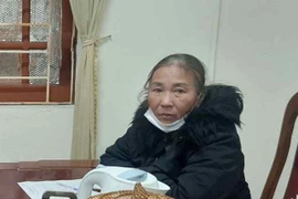 Nữ giáo viên về hưu lừa bán đất chiếm đoạt hàng tỷ đồng