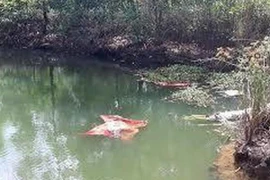 Ngã xe máy xuống ao, 2 mẹ con tử vong