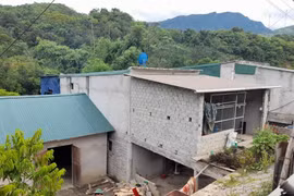 Bé gái rơi từ độ cao 10 mét xuống đất tử vong