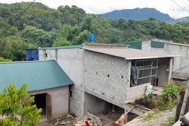 Bé gái rơi từ độ cao 10 mét xuống đất tử vong