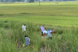 Nghi mẹ sát hại con gái rồi lên đường tàu tự tử
