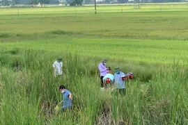 Nghi mẹ sát hại con gái rồi lên đường tàu tự tử