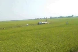 Máy bay quân sự L-39 rơi ở Phú Yên: Đang khẩn trương cứu hộ cứu nạn