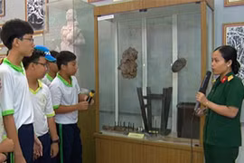 Cực kỳ độc đáo: Dùng ong vò vẽ để diệt giặc