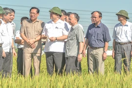 Bí thư Thành uỷ Hoàng Trung Hải: Tránh tình trạng "vừa tăng ga đã hết điện, thiếu nước"