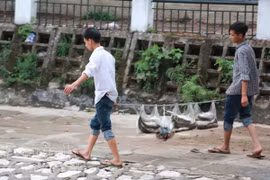 Không loại trừ nguyên nhân cá chết ở hồ Hoàng Cầu do nắng nóng