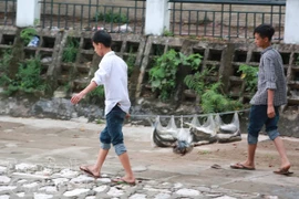 Không loại trừ nguyên nhân cá chết ở hồ Hoàng Cầu do nắng nóng