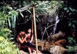 Cùng trai gái Vân Kiều đi sim, tình tự