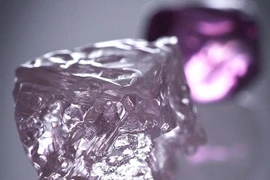 Tìm thấy viên kim cương hồng khổng lồ 