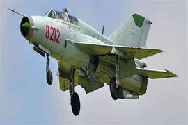 Chính thức công nhận 30 bảo vật quốc gia Việt Nam