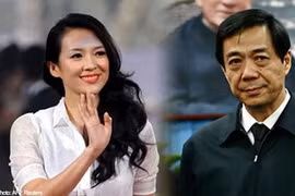 Chương Tử Di lên tiếng sau "bê bối bán dâm cho Bạc Hy Lai"