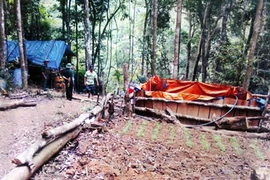 Phu vàng hỗn chiến, một người chết trong rừng thẳm