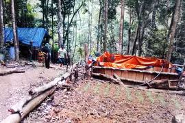 Phu vàng hỗn chiến, một người chết trong rừng thẳm