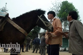 Nhộn nhịp đổi “xích thố” lấy... mobile