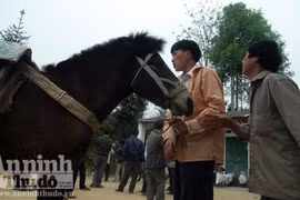 Nhộn nhịp đổi “xích thố” lấy... mobile