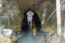 Gửi tấm thân tàn nơi rừng thiêng nước độc